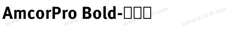AmcorPro Bold字体转换